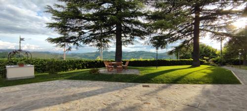 Alba Bed & Breakfast | B&B Luna di Langa