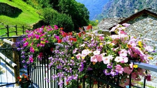 Lillianes Bed & Breakfast | B&B Maison Vallomy