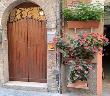 Teramo Apartment | B&B Monolocale Piazza Dante