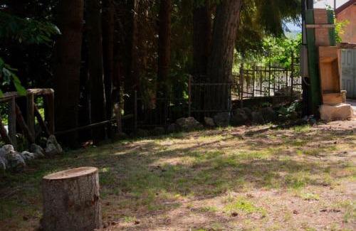 Spezzano della Sila Bed & Breakfast | B&B Nonna Iolanda