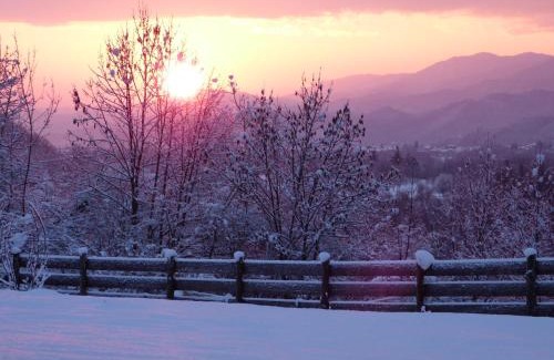 Gaiola Bed & Breakfast | B&B Notte Stellata