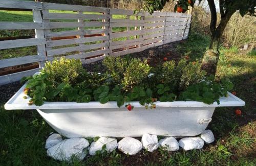 Castagna Villa | B&B Romy House