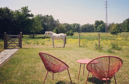 Waanrode Bed & Breakfast | B&B Roos 14