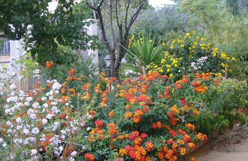 Caltanissetta House | B&B S. ELIA GREEN room: ENCHANTING VILLA IMMERSED IN THE HISTORICAL DUBINI PARK