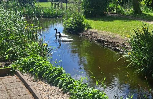 Assendelft Bed & Breakfast | B&B Saense huisje