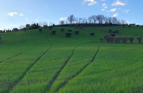 Montalto delle Marche Bed & Breakfast | B&B San Nicola