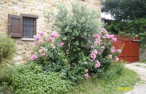 Serramazzoni Bed & Breakfast | B&b San Nicola