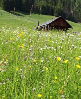 Granvilla Bed & Breakfast | B&B Schlossar Haus