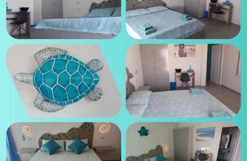 Sal Rei Bed & Breakfast | B&B Sereia Azul Boa Vista