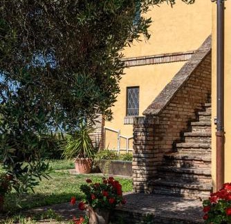 Castelfidardo House | B&b sunflower