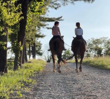 Casale Monferrato Bed & Breakfast | B&B Tenuta il Galletto