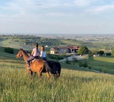 Casale Monferrato Bed & Breakfast | B&B Tenuta il Galletto