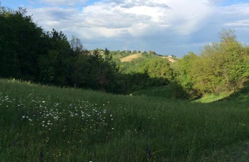 Lesignano de' Bagni Bed & Breakfast | B&B Villa Rossana