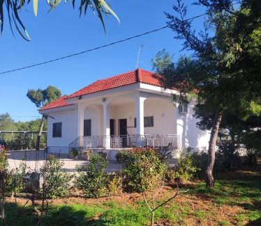 Province of Lecce Bed & Breakfast | B&B Villa VITTORIO