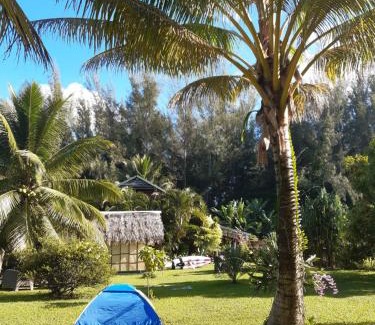 Huahine Bed & Breakfast | B & Bee Wild Island - Nature Song