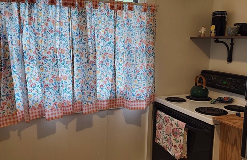 Buena Vista Apartment | B. V. Mountain Retreat - STR-222