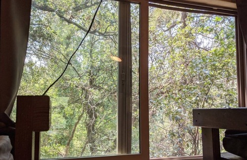 Prescott Cabin | B1 National Forest Glamping Basketball & Gagaball