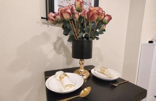 Takadanobaba Apartment | B2 Shinjuku JR St 8 mins 2 bedrooms and 1 living room Max 5P Direct to Shinjuku Ueno Ginza Shibuya Ikebukuro Yoyogi Shinagawa 新宿区 高田马场车站8分钟 两室一厅 最大5人