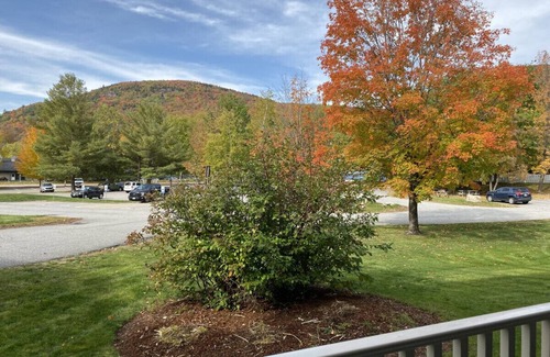 Lincoln Condo | B213 - Mountain Adventure Awaits! Studio Apt at Loon in Lincoln NH