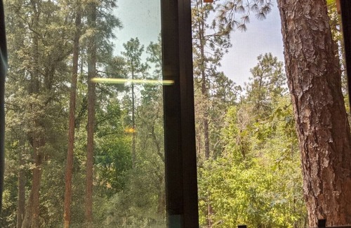Prescott Cabin | B3 Outside Getaway Hammocking Spots Peaceful Views