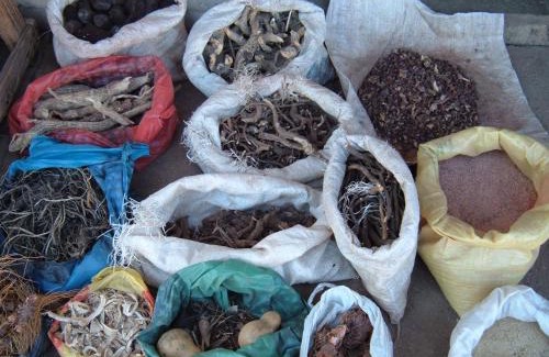 Alberton Villa | Baabaa Baabuu Best Sangoma Traditional Healer Love Spells Johannesburg, Alberton, Bedfordview villa, Midrand, Benoni, Boksburg,