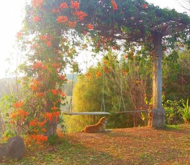 Sado Phong House | Baan Ing Phu บ้านอิงภู
