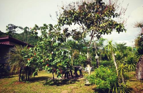 Nong Nam Daeng Resort | Baan Khaoneawdum