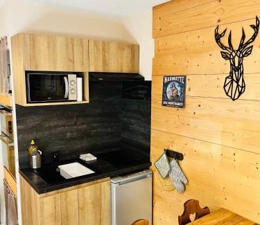 Premanon Apartment | Babaute 7, studio typique au pied des pistes