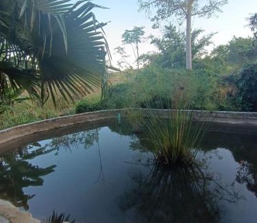 Pai House | Babazia Home