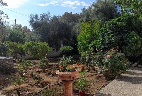 Selinia House | Babis Garden Salamina