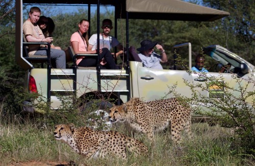 Otjozondjupa Region House | Babson House at Cheetah Conservation Fund