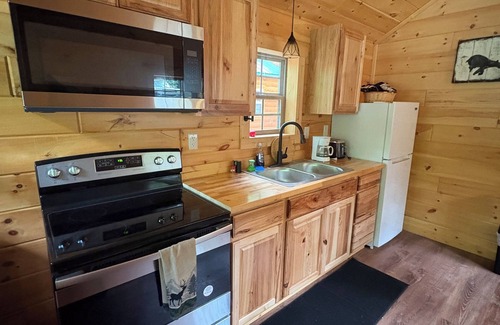 Bryson City Cabin | Baby Bear Cabin on the Nantahala River