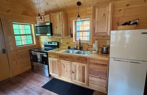 Bryson City Cabin | Baby Bear Cabin on the Nantahala River