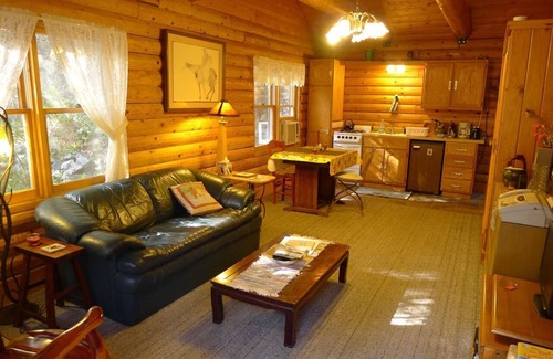 Nevada City Cabin | Baby Bear's Cottage w/private hot tub