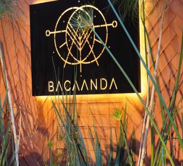 Ruta Independencia House | Bacaanda #3