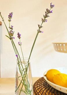 San Pellegrino Terme Apartment | Baciati dal Sole-Self check-in