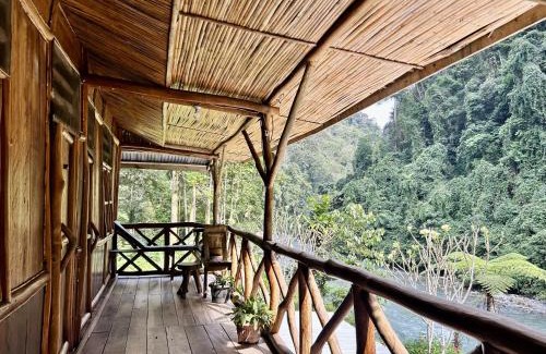 Bukit Lawang House | Back to Nature Ecotourism