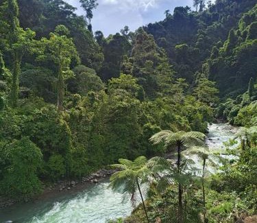 Bukit Lawang House | Back to Nature Ecotourism
