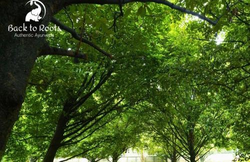 Irinjalakuda Resort | Back to Roots Ayurveda Retreat
