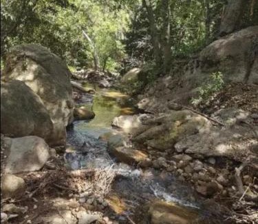 Topanga Ski Chalet | Backpacker's Dream with detached bathroom, private trails and creek!