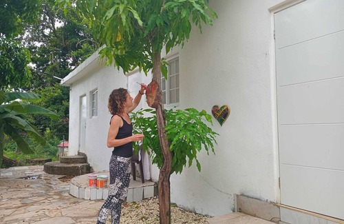 Mango Walk Apartment | Backpackers Hostel with AC and WiFi in Montego Bay