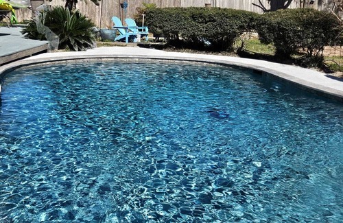 Barker House | Backyard oasis