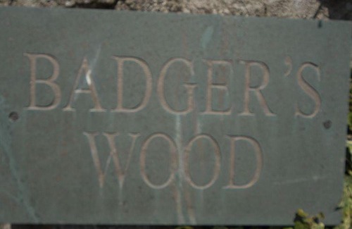 Blackwell in the Peak House | Badgers Wood