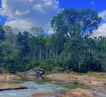 Samse House | Badra Jungle Retreat