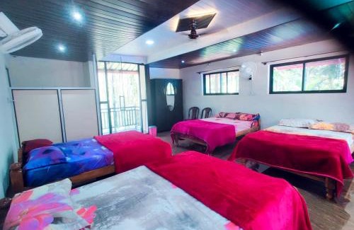 Samse House | Badra Jungle Retreat