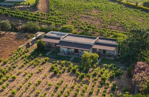 Bozcaada House | Bagbadem Tatil Çiftliği