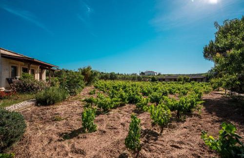 Bozcaada House | Bagbadem Tatil Çiftliği
