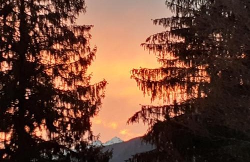Caderzone Terme Ski Chalet | Baita Martin da Fist