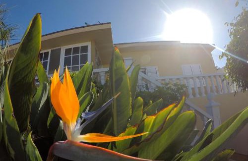 Bajamar House | Bajamar 152