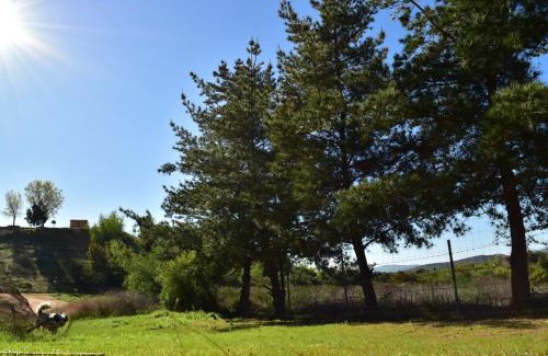 San Antonio de las Minas Cabin | Bajo el Sol del Valle